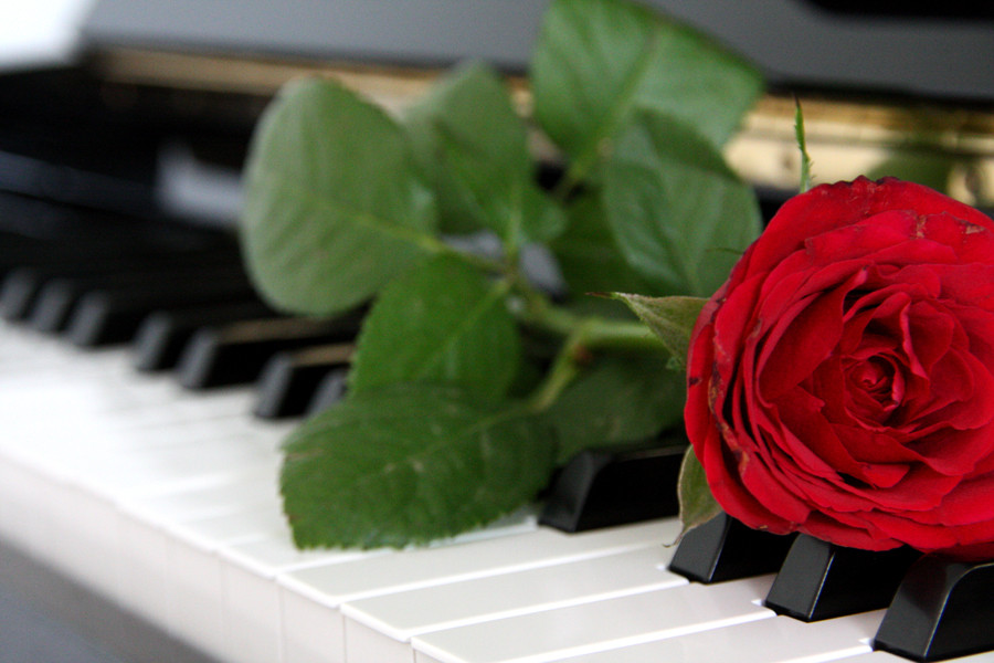 Love The Piano