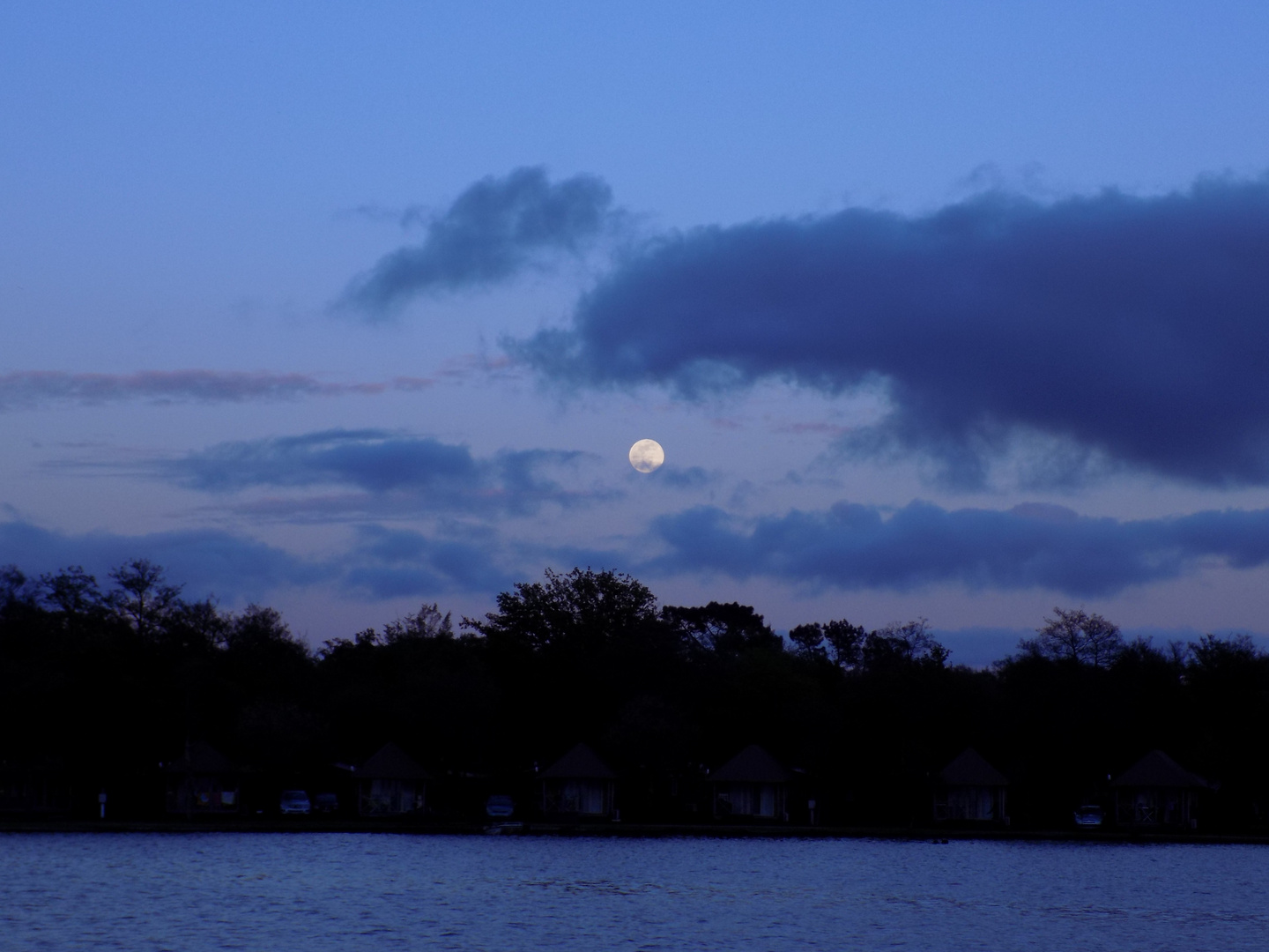 Love under the Moon