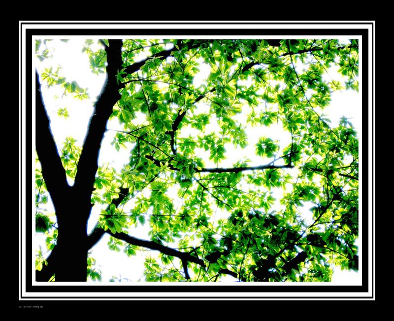 love under this romantic summer tree ii