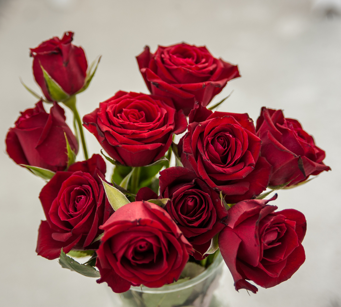 Love You Darling Foto Bild Blumen Rosen Bluten Bilder Auf Fotocommunity