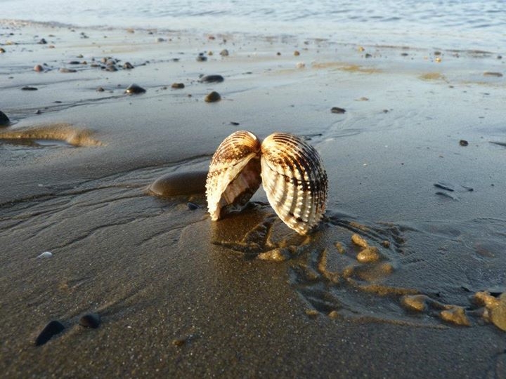 Loveley day at the beach