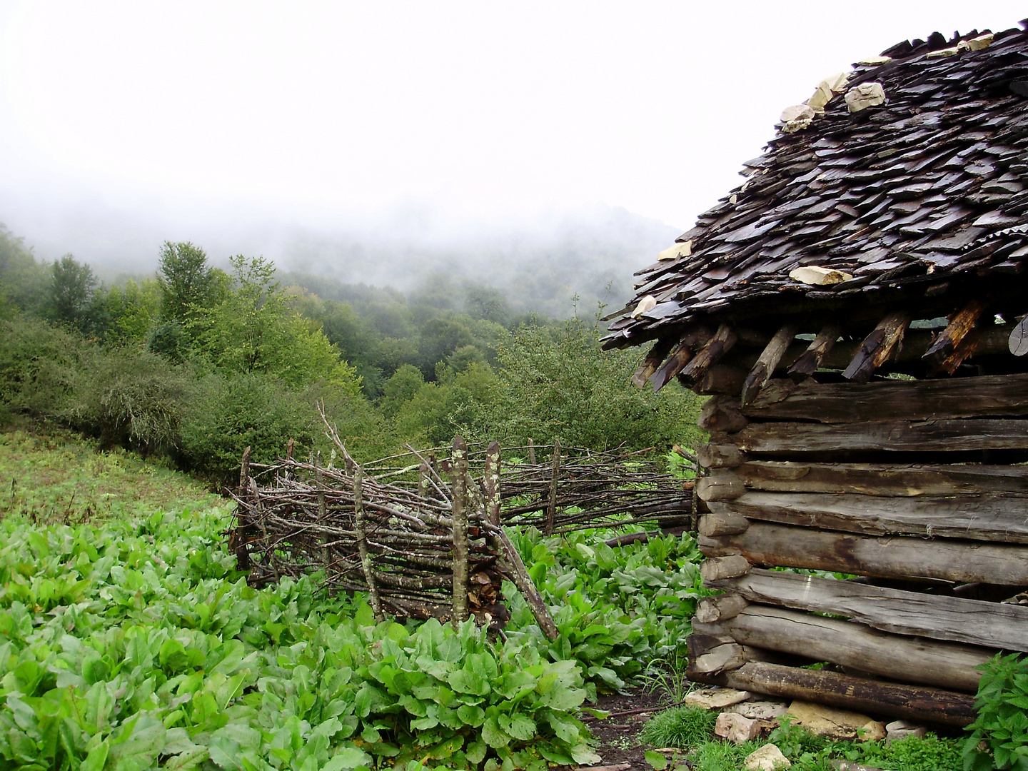 Lovely cottage