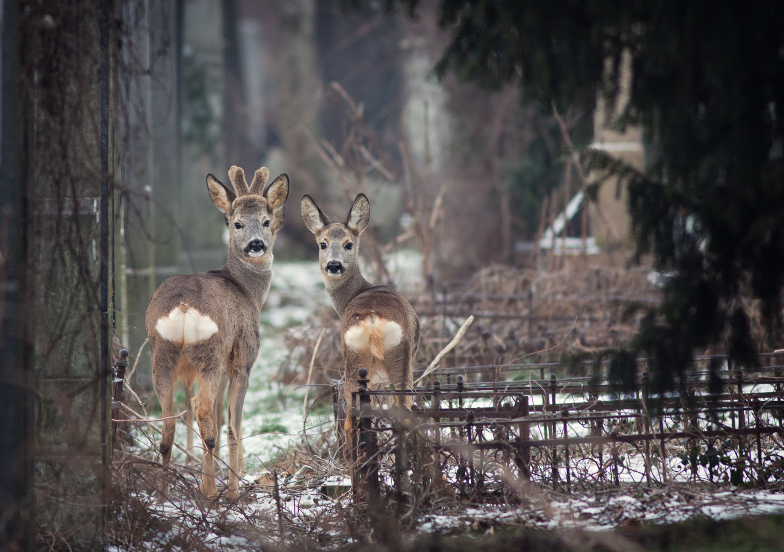 lovely couple.