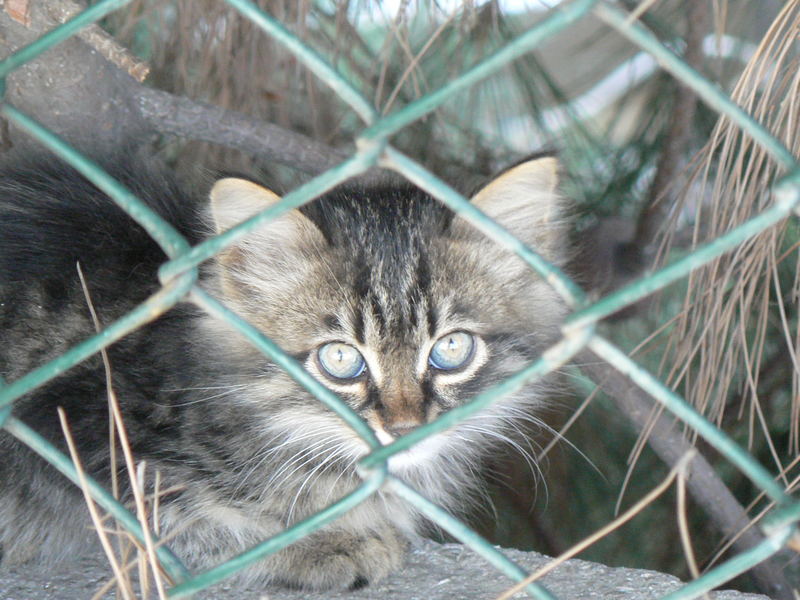 Lovely eyes...