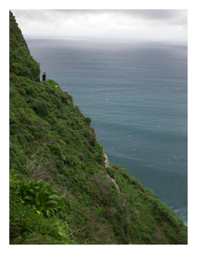 lovely madeira