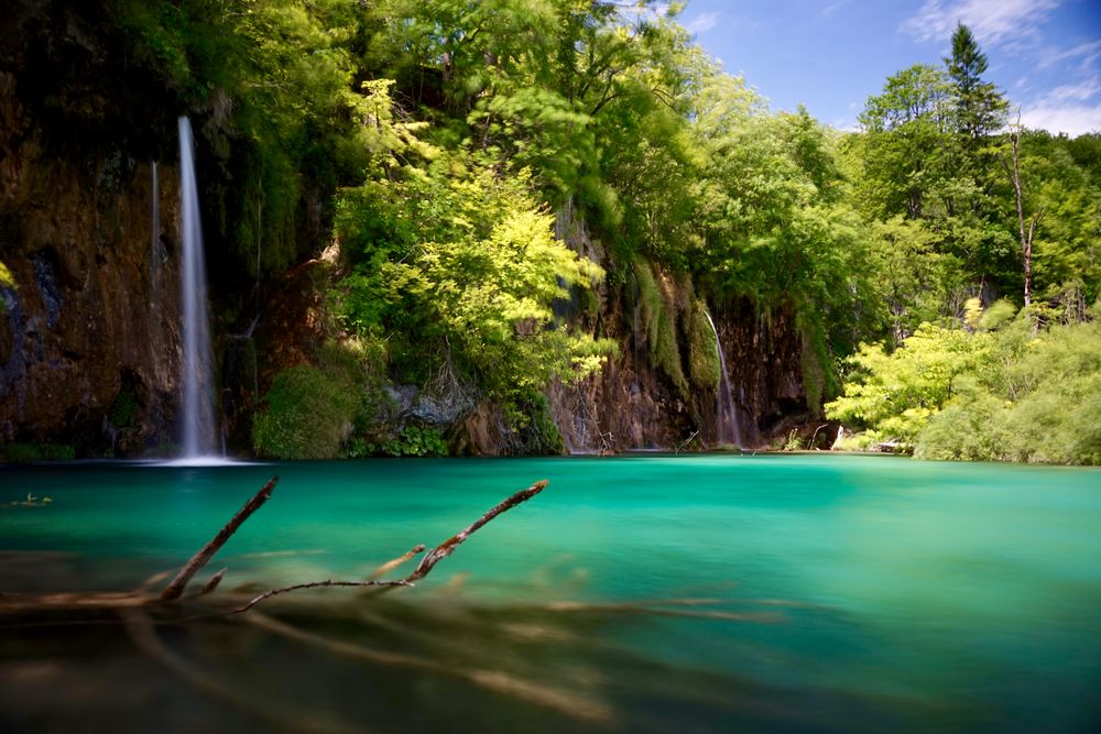 lovely Nature Foto Bild anf ngerecke nachgefragt lovely Nature Foto Bild anf ngerecke nachgefragt