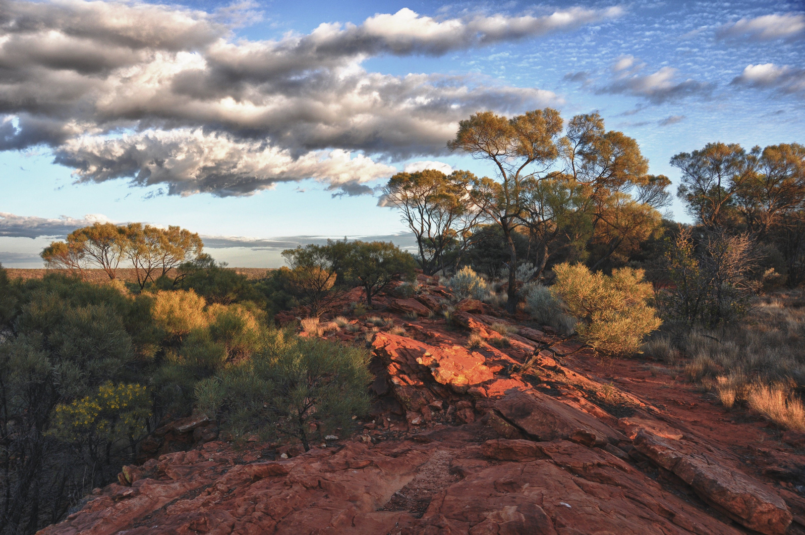 Lovely Outback