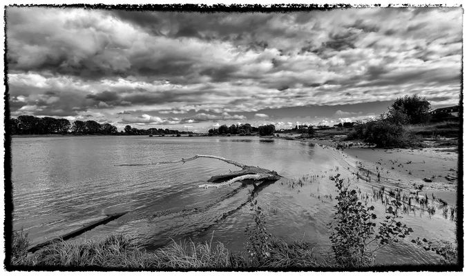 Lovely, Relaxing Walk Along The Banks Of The Rhine