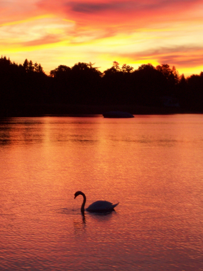 Lovely summer evening