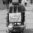 Lovely Things