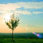 lovers above the ruhrdistrict