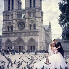 lovers and pigeons