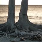 Lovers Key I , Florida