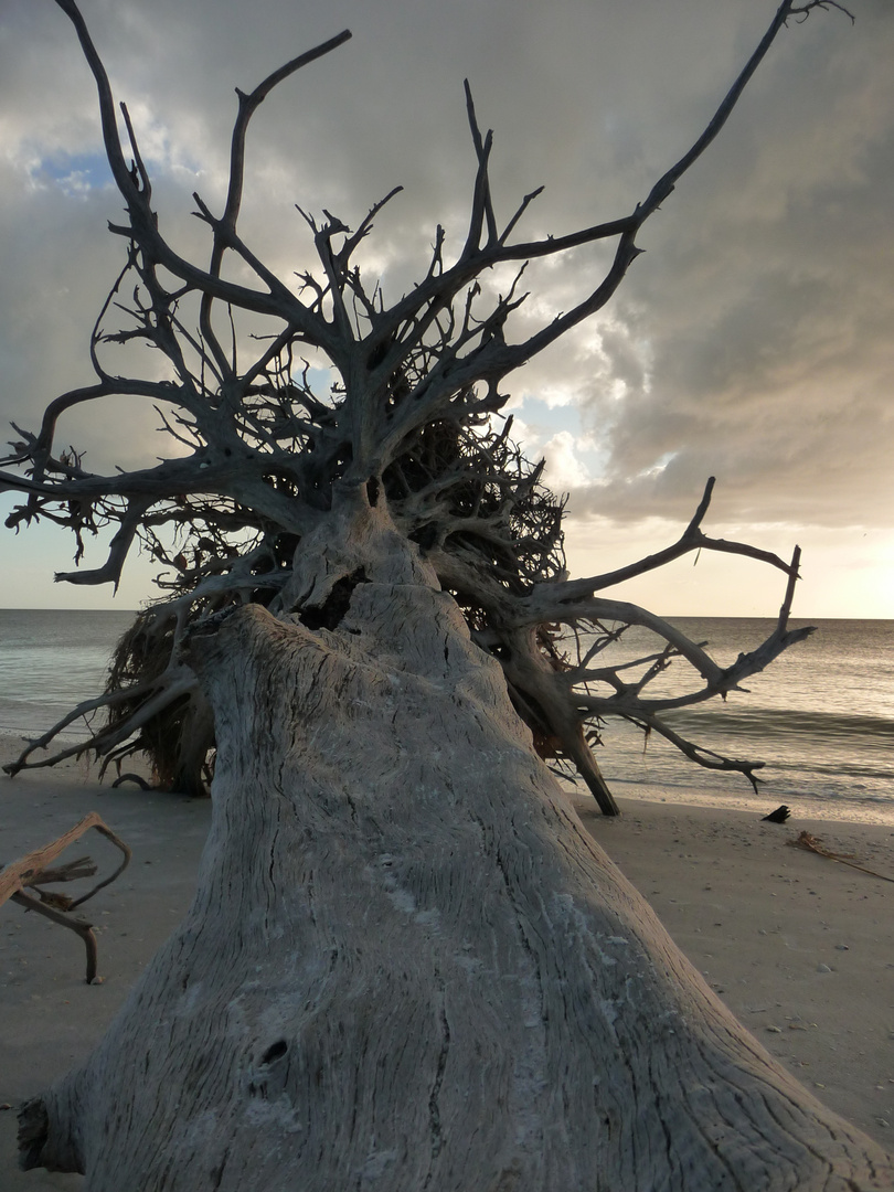 Lovers Key II, Florida