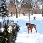 Loves the snow