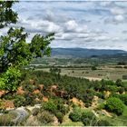 Loving Luberon