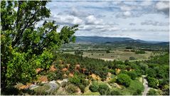 Loving Luberon