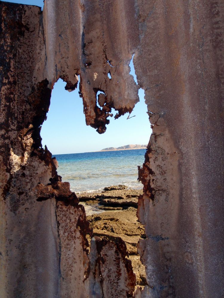 loving the sea (ras mohamed national park)