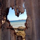 loving the sea (ras mohamed national park)