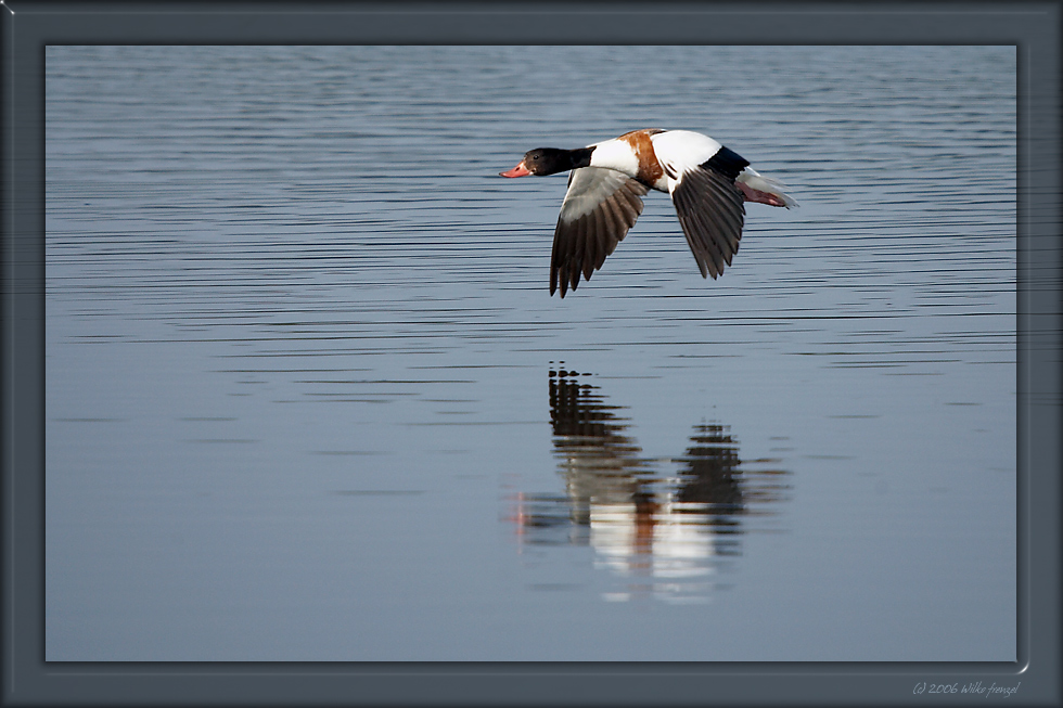 low-altitude flight