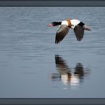 low-altitude flight