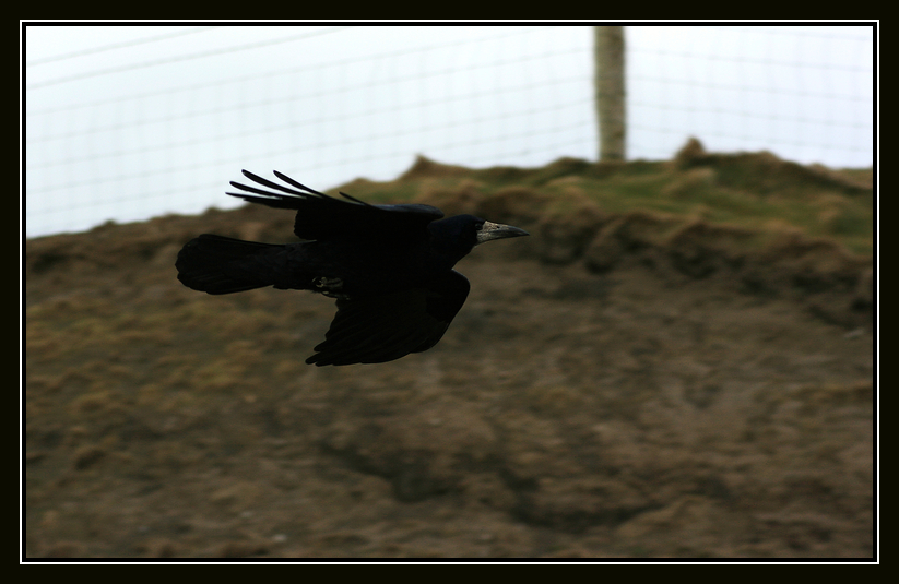 low altitude flight