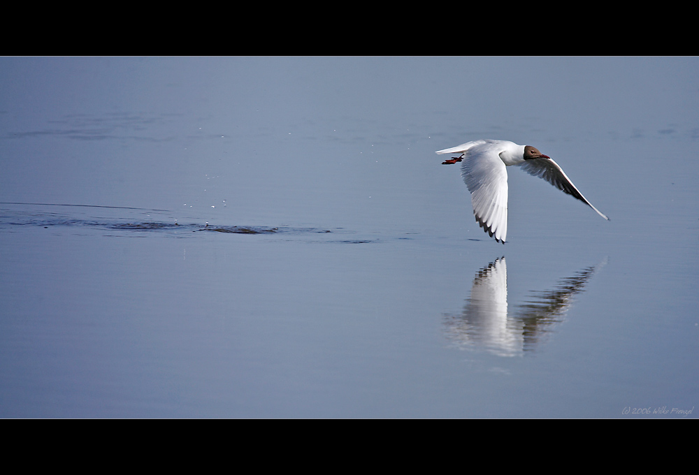 low-altitude flight II