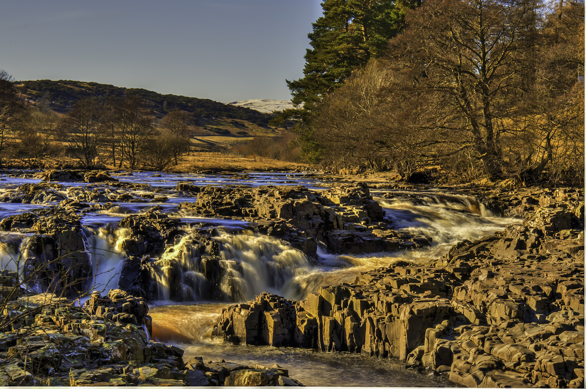 Low Force.