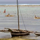 Low tide