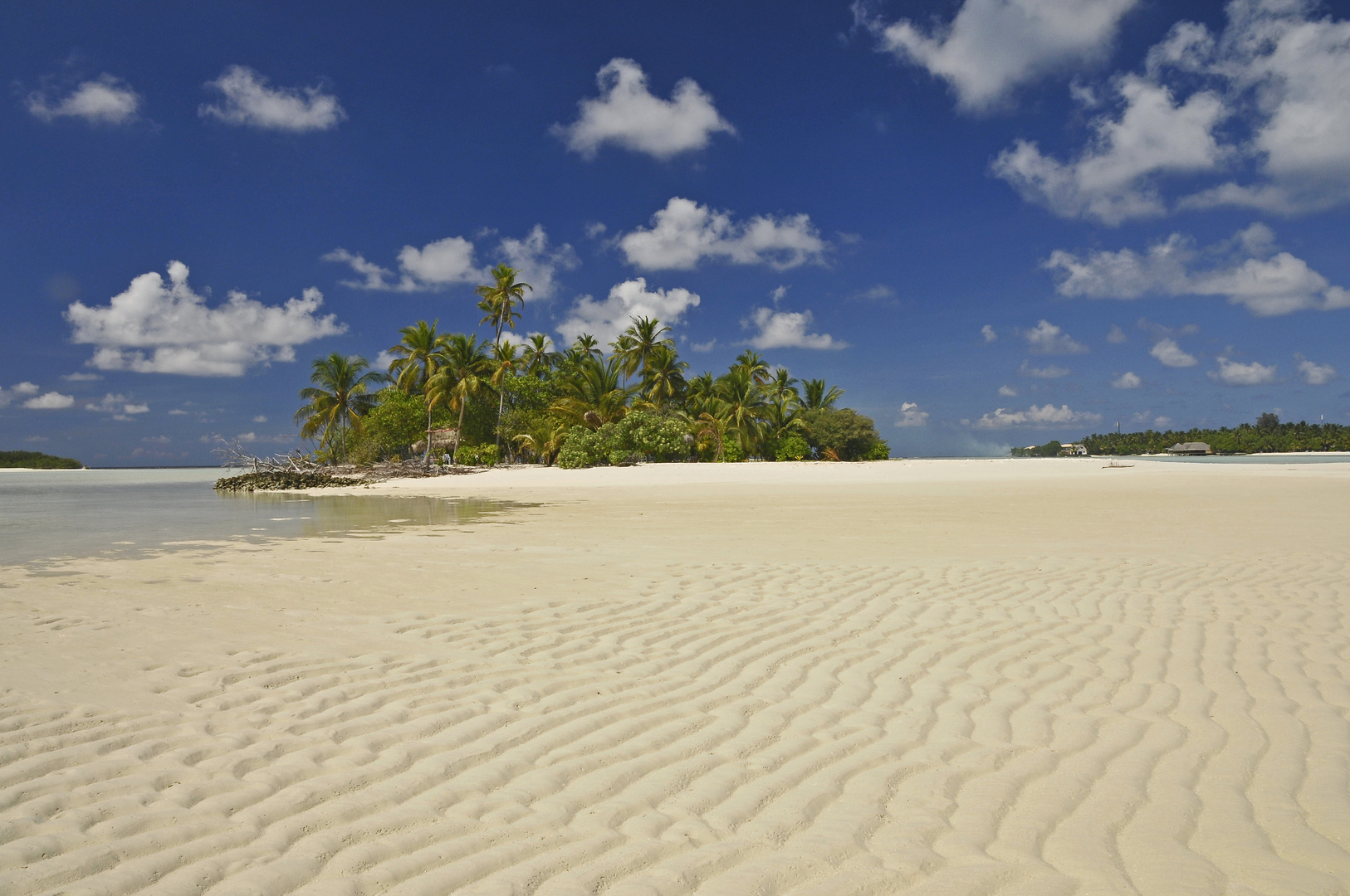 Low Tide