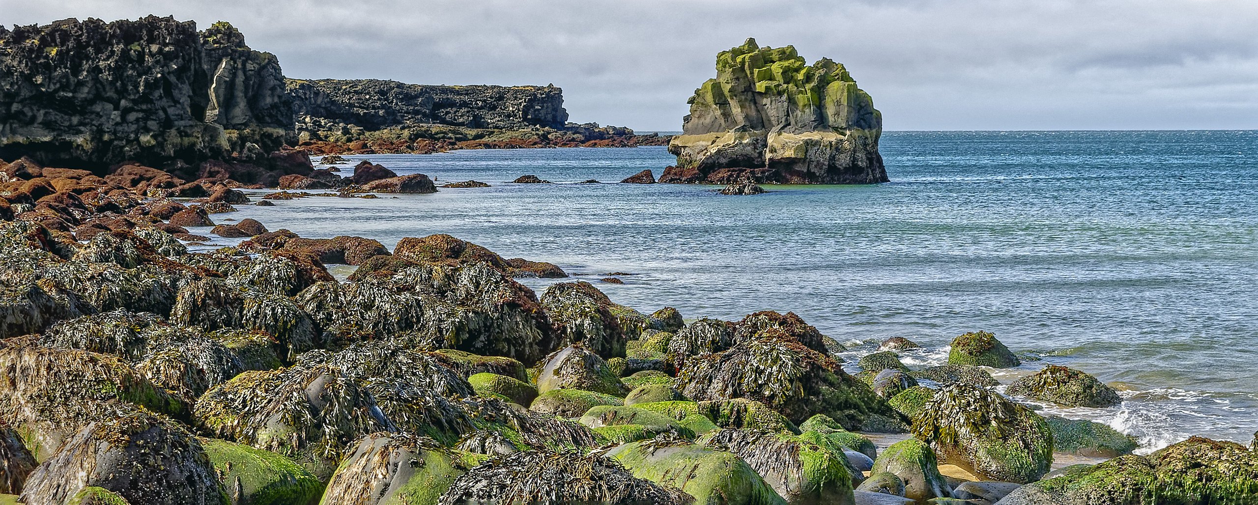 LOW TIDE