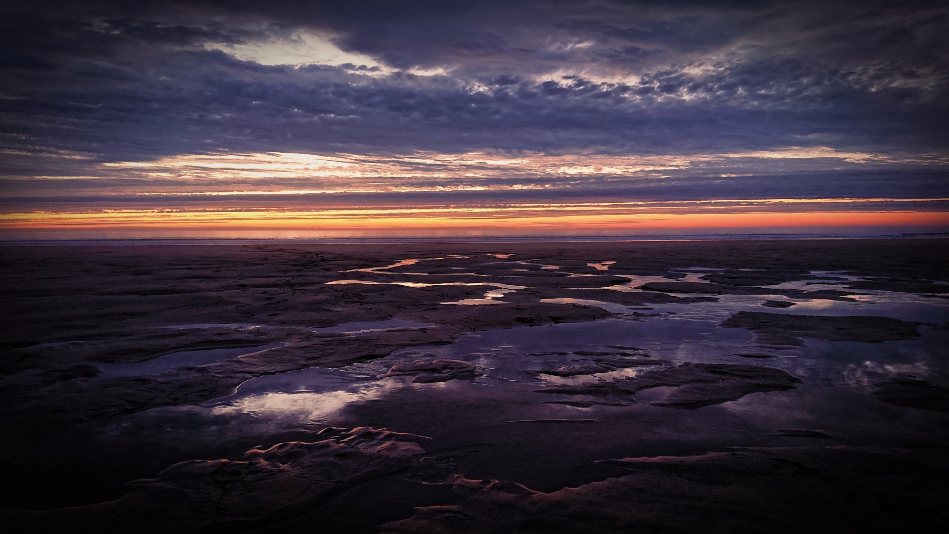 [Low Tide]