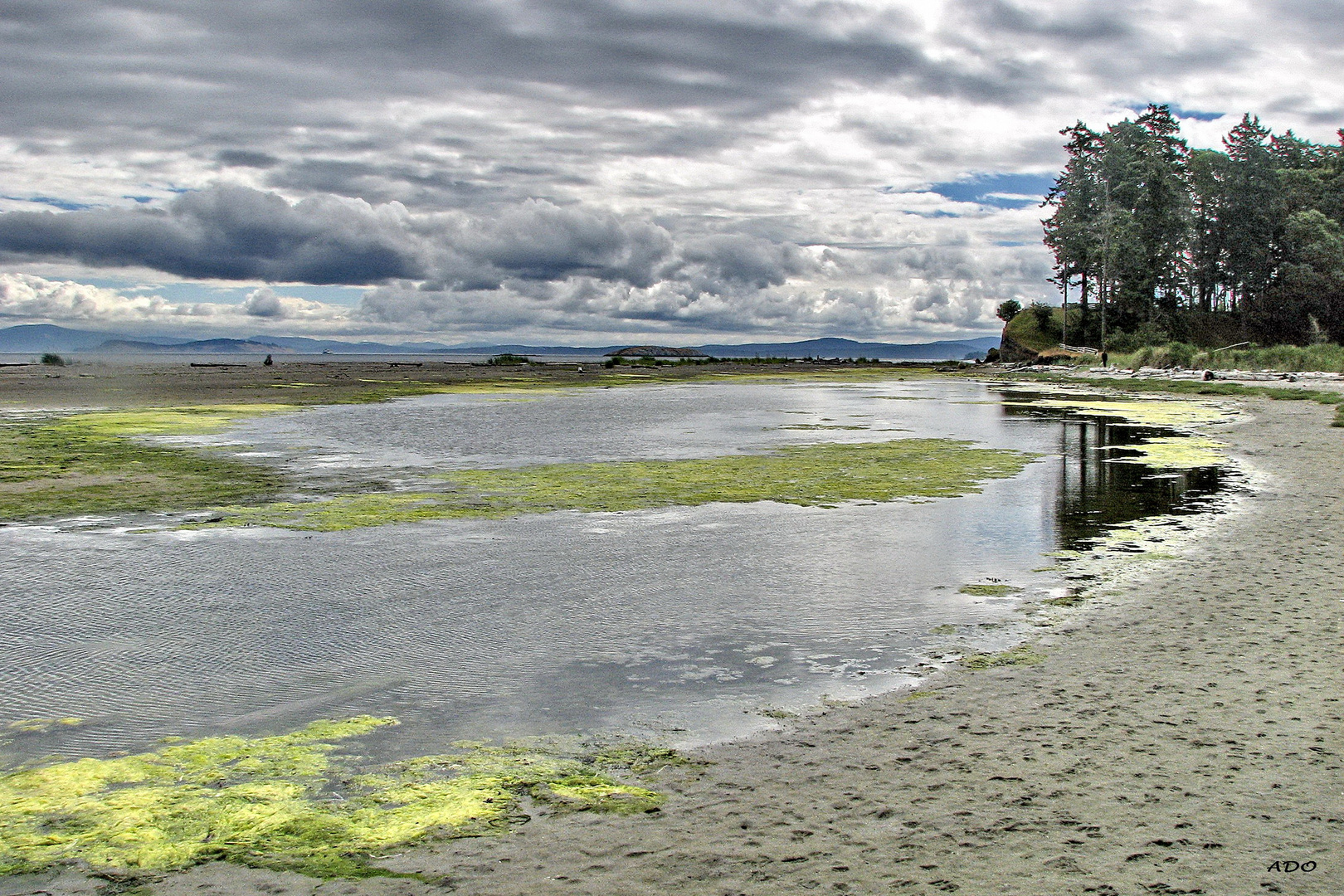 Low Tide (2)