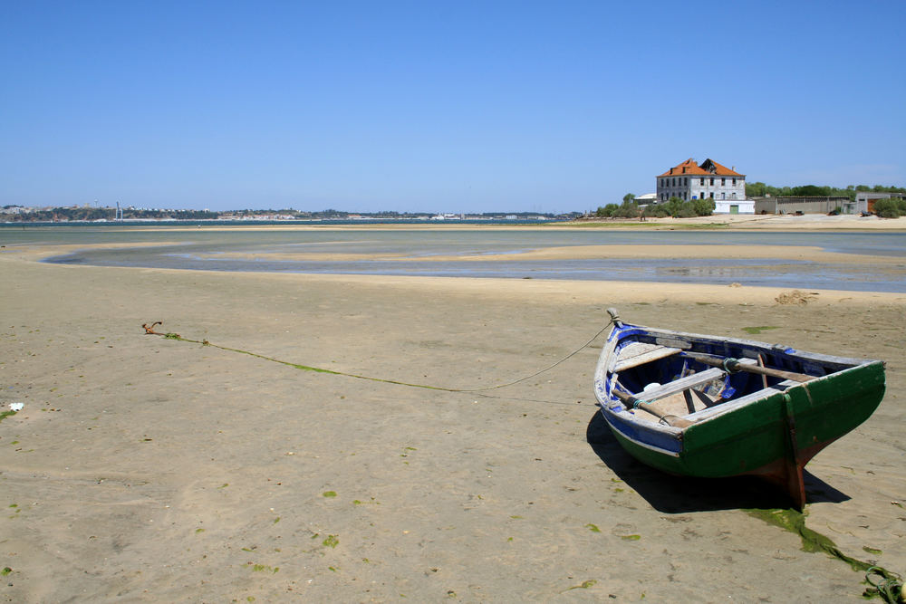 Low tide 2