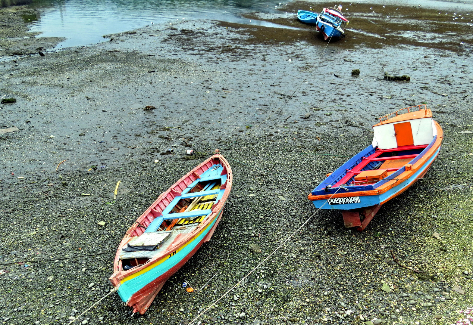 Low Tide