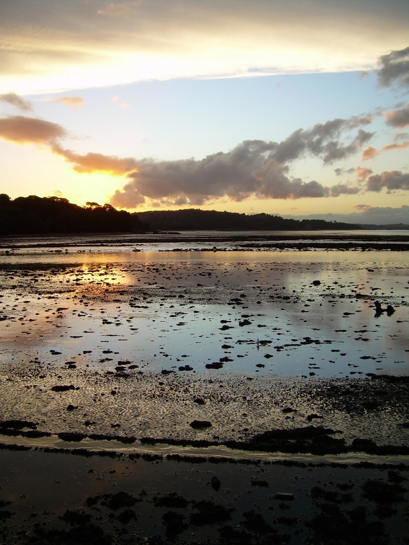 low tide