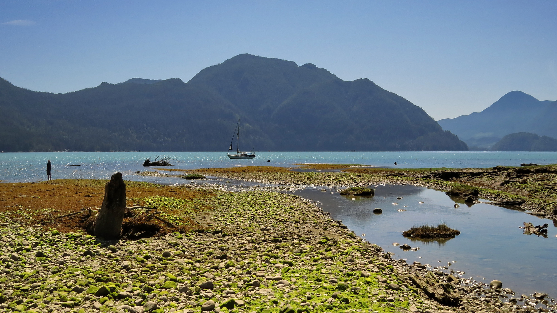 Low Tide