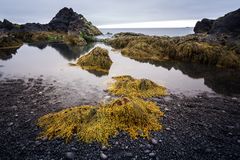 Low Tide.