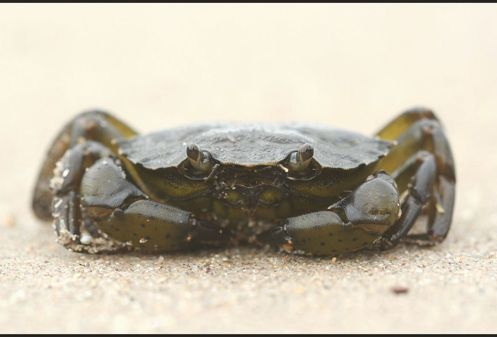 Low Tide...