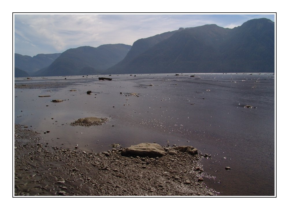 Low tide