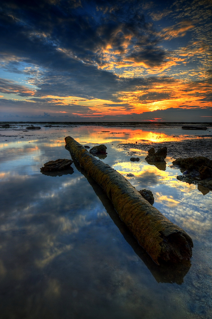 LOW TIDE