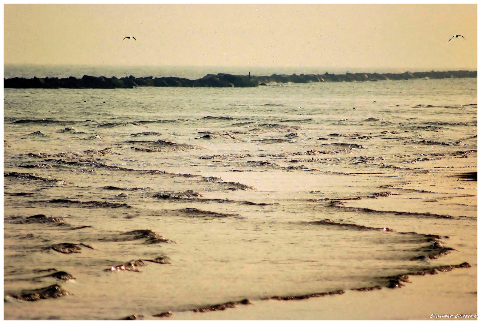 Low tide at sunset