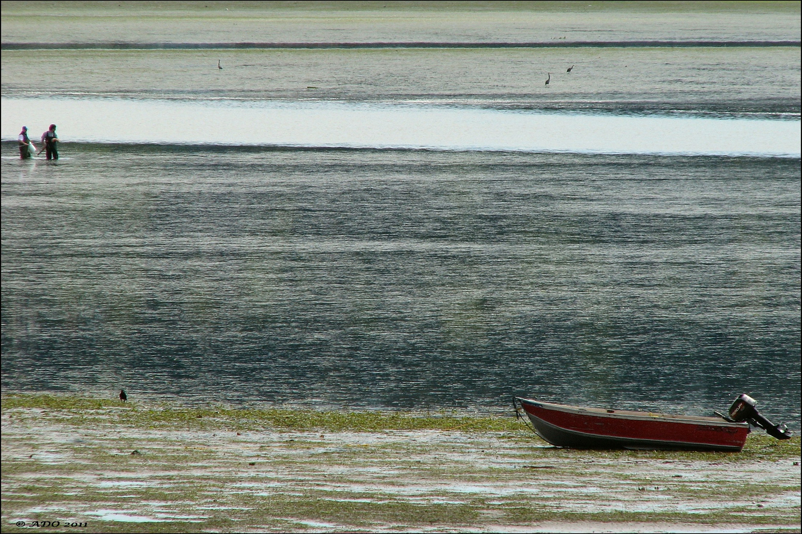 Low Tide at Tsawwassen