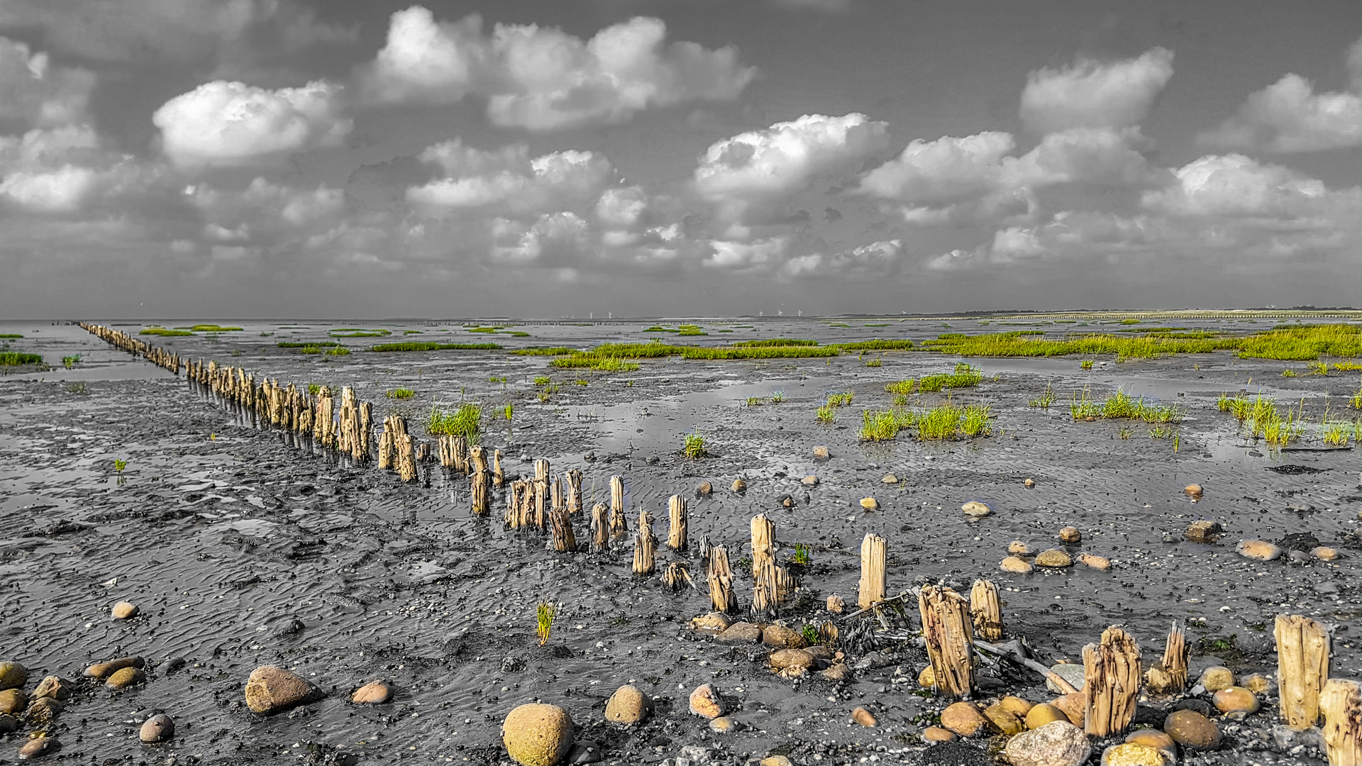 Low tide at Wadden Sea