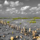 Low tide at Wadden Sea