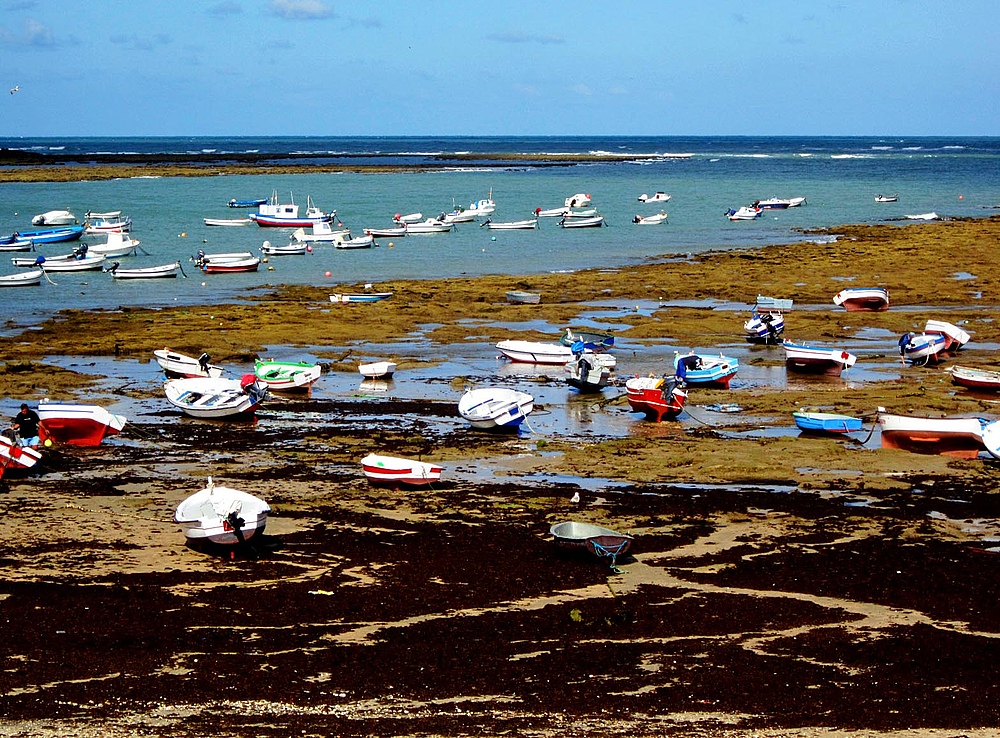 low tide