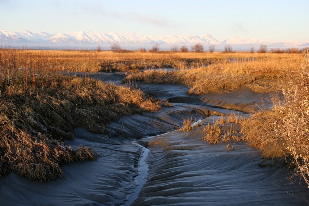 Low Tide - Ebbe