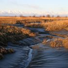 Low Tide - Ebbe