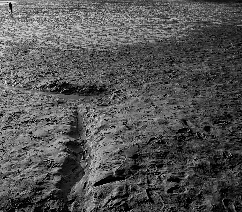 low tide explorer