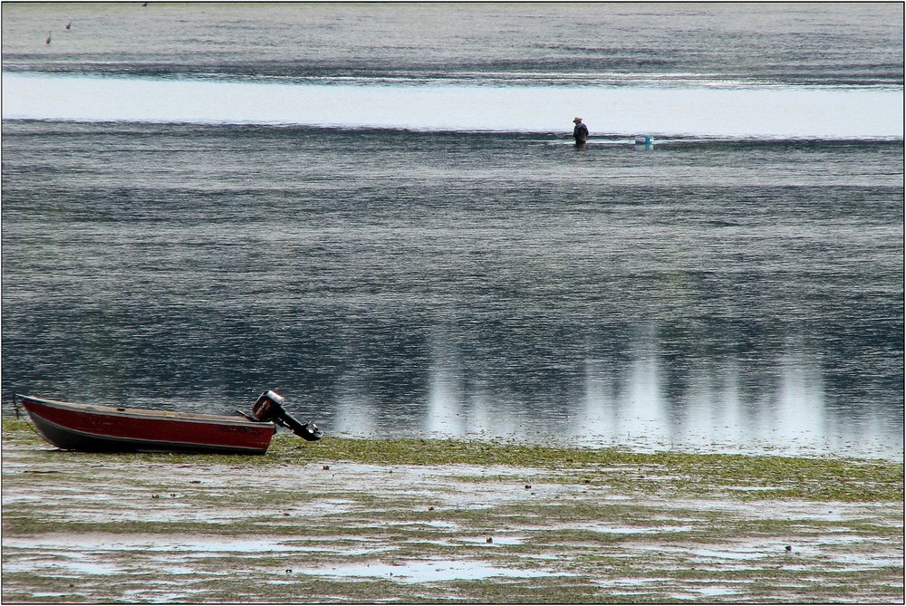 Low Tide ..... Fishing for ????